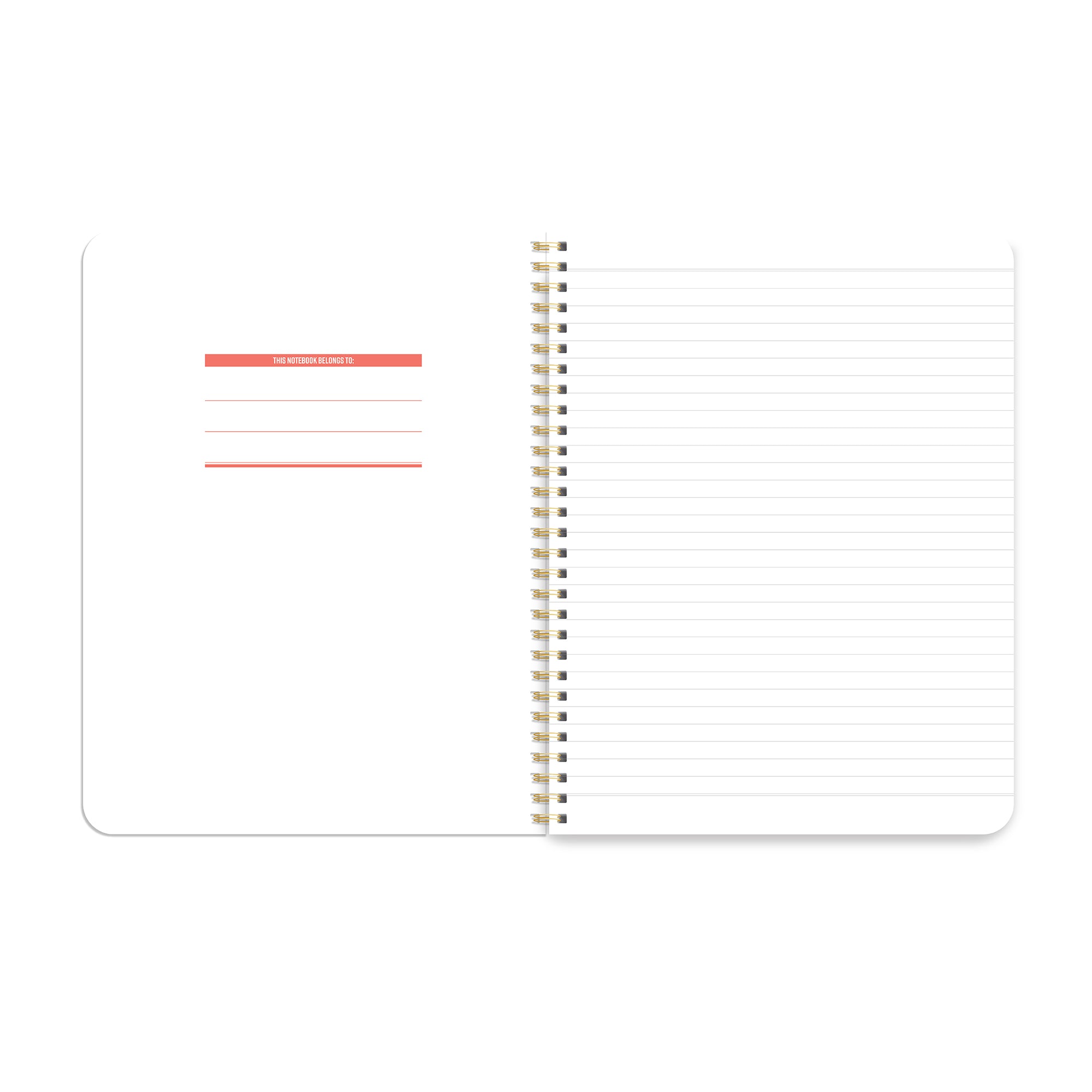 Asian sweets and snacks coil bound notebook, inside, by I&