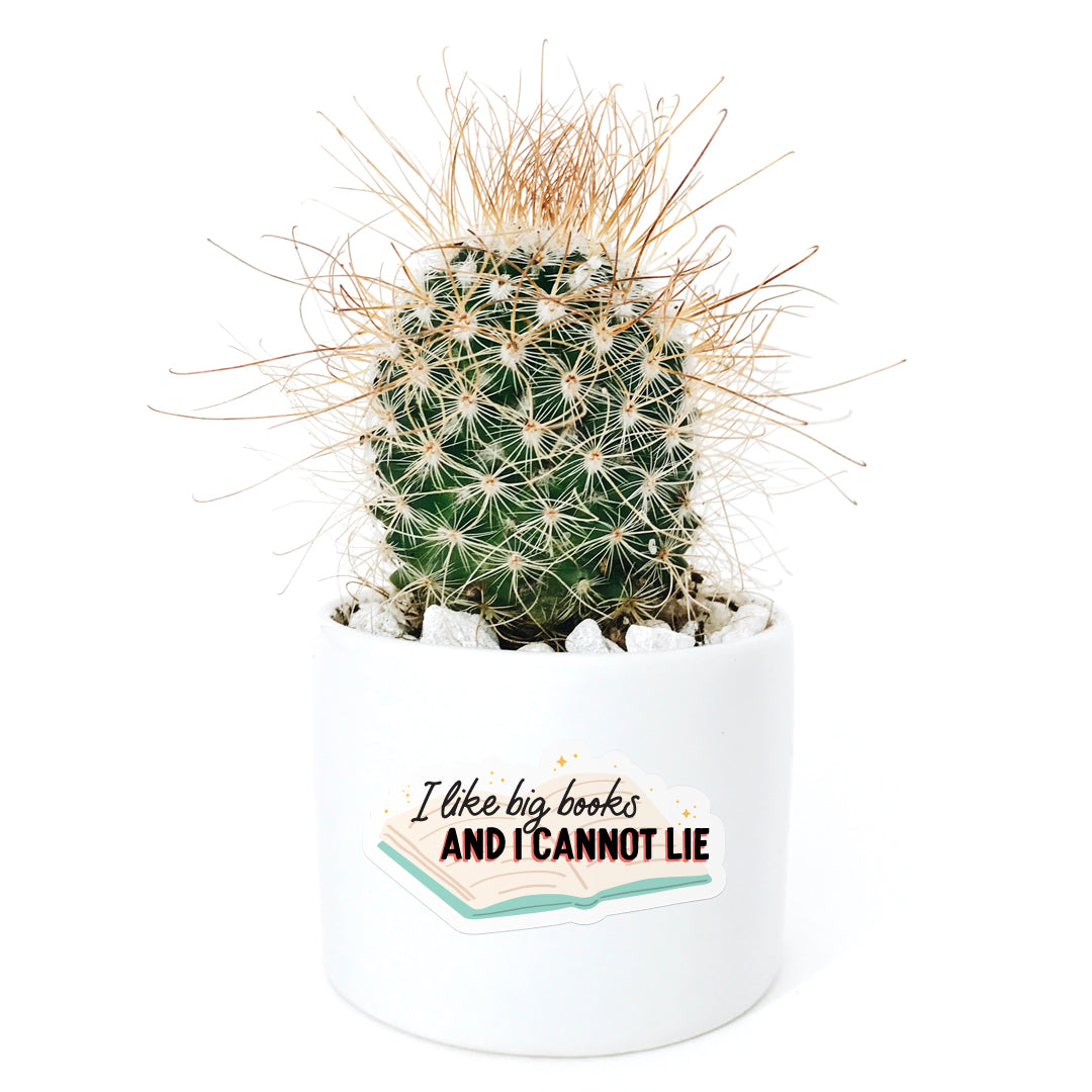 I like big books and I cannot lie vinyl sticker on cactus pot